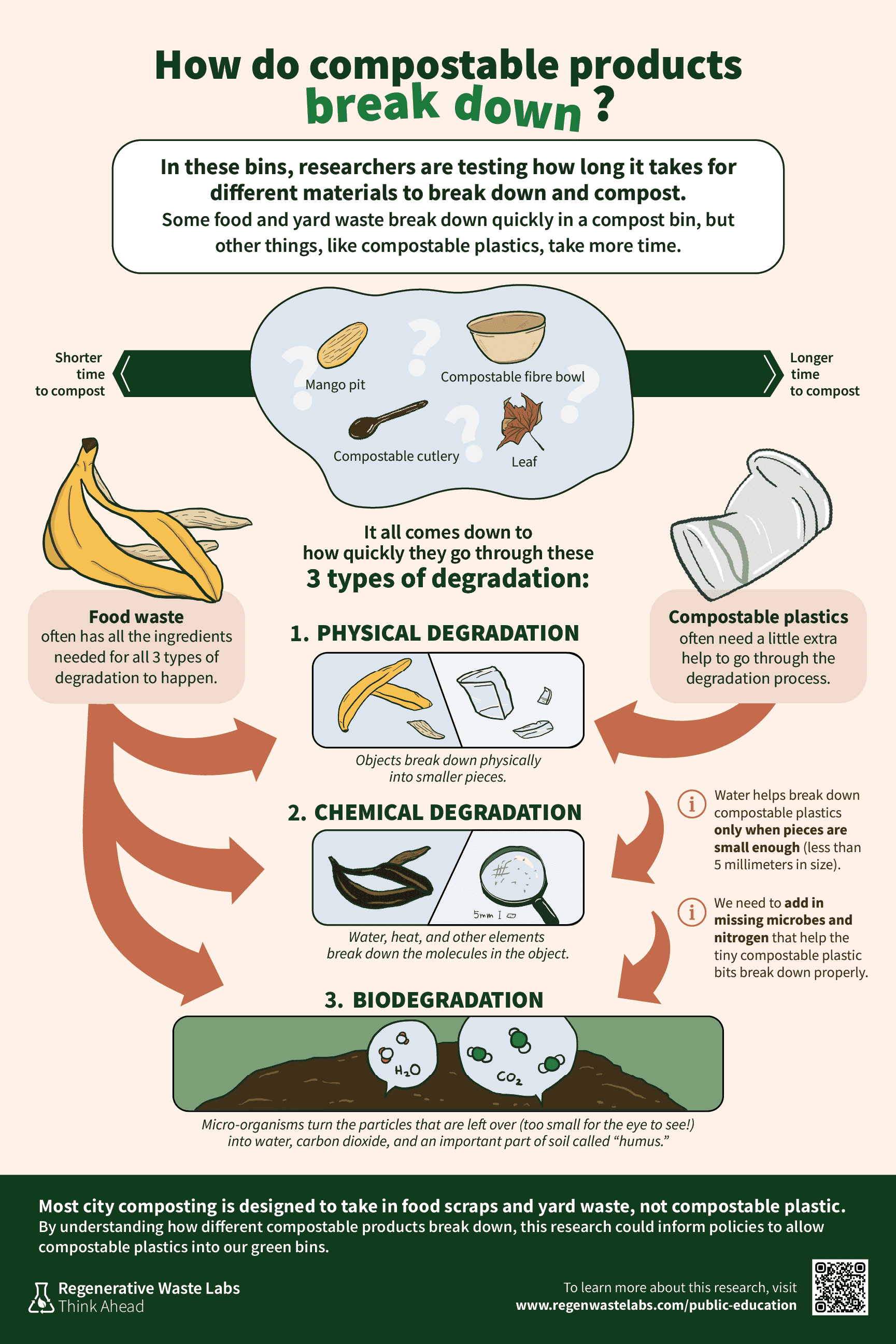 How do compostable products break down? One side explains how a banana peel breaks down, with all three types of degradation happening all at once (physical, chemical, biodegradation). The other side explains that a biodegradable plastic cup needs some extra help.