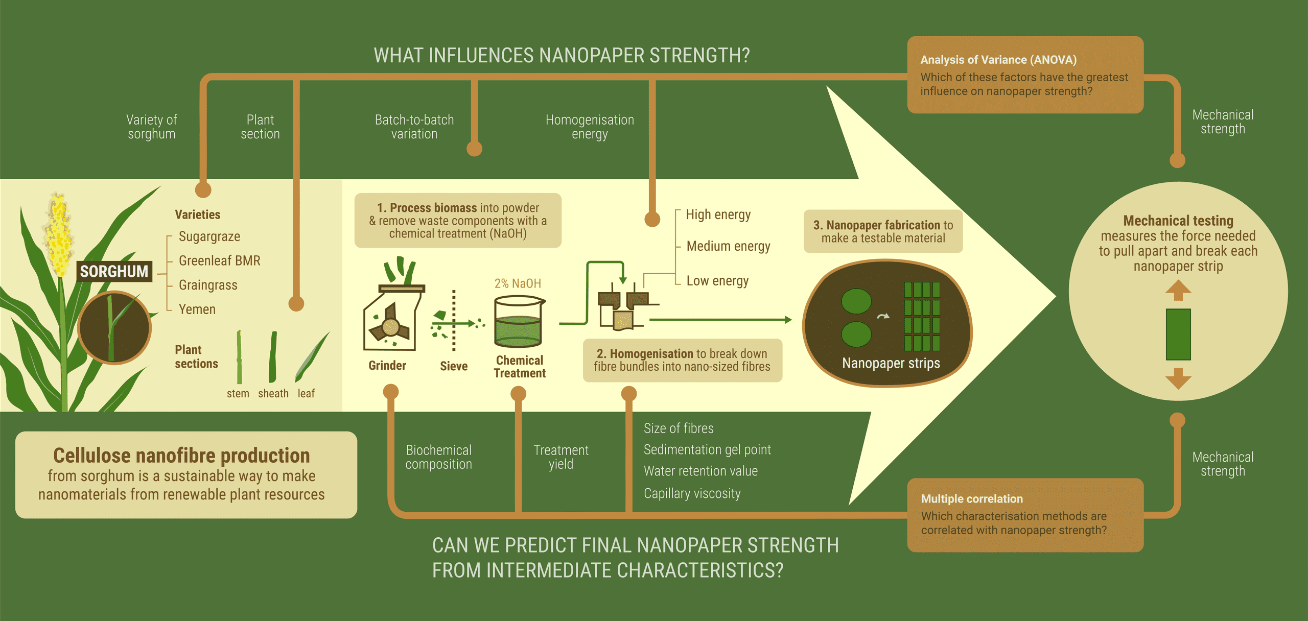 Infographic: Cellulose nanofibre production. What influences nanopaper strength? Can we predict nanopaper strength from intermediate characteristics?